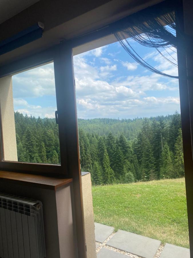 Apartament W Gorach Gorce Nowy Targ Εξωτερικό φωτογραφία