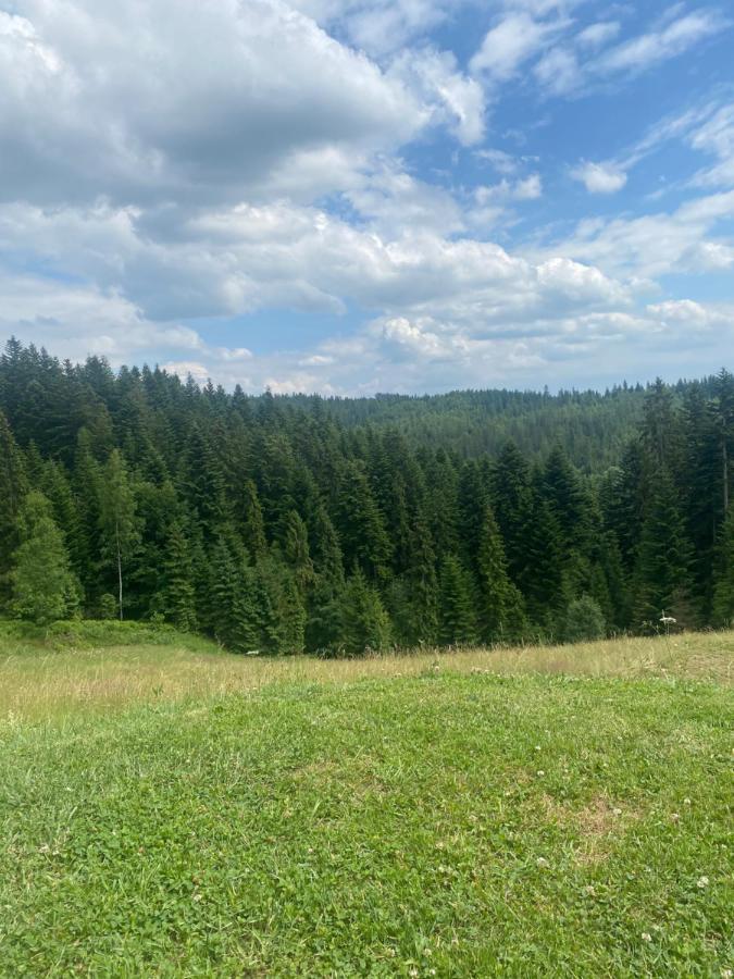 Apartament W Gorach Gorce Nowy Targ Εξωτερικό φωτογραφία