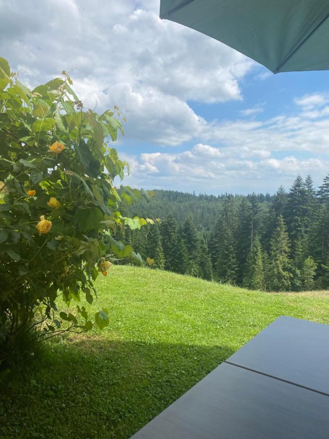 Apartament W Gorach Gorce Nowy Targ Εξωτερικό φωτογραφία