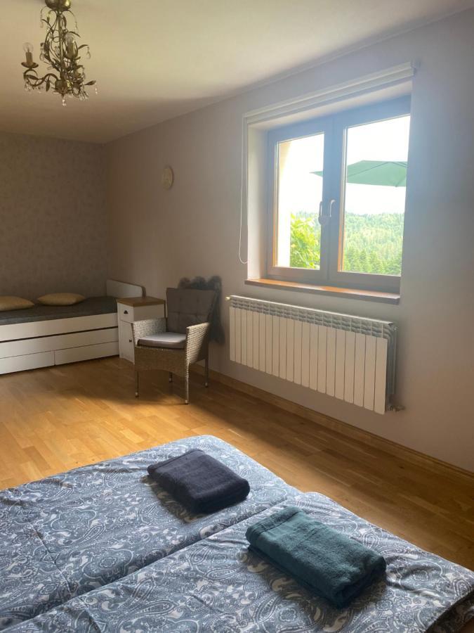 Apartament W Gorach Gorce Nowy Targ Εξωτερικό φωτογραφία