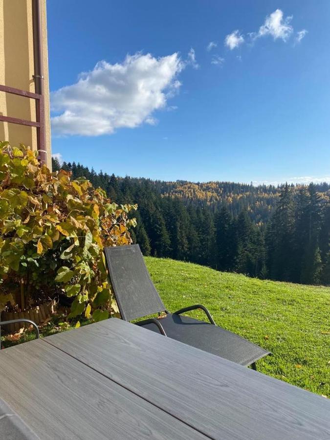 Apartament W Gorach Gorce Nowy Targ Εξωτερικό φωτογραφία